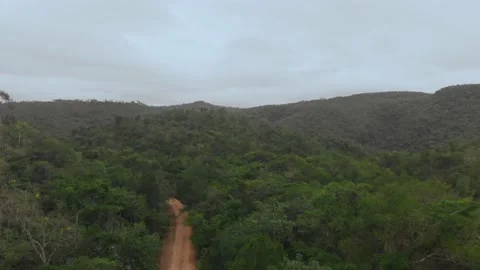 Drone shots of Dirt Road in the Belize Jungle leading to the Mayan Temple of Vídeos de archivo 230791520