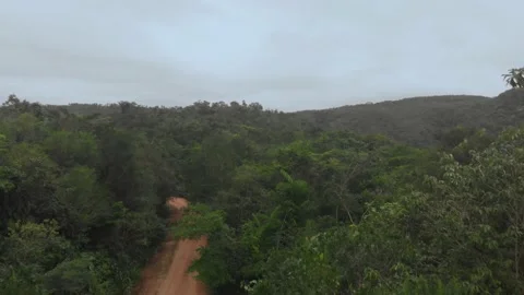 Drone shots of Dirt Road in the Belize Jungle leading to the Mayan Temple of Stock Footage 230793239