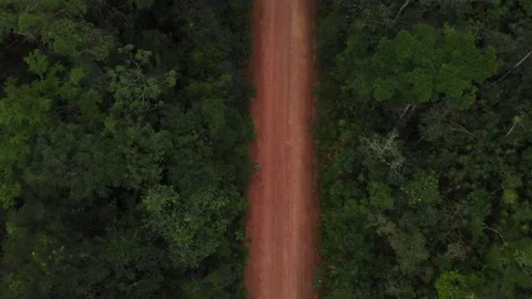 Drone shots of Dirt Road in the Belize Jungle leading to the Mayan Temple of Stock Footage 230796860