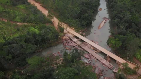Drone shots of Dirt Road in the Belize Jungle leading to the Mayan Temple of Stock Footage 230797149