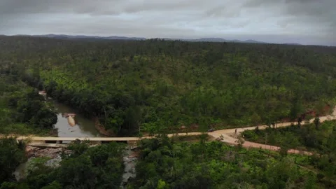 Drone shots of Dirt Road in the Belize Jungle leading to the Mayan Temple of Stock Footage 230801459