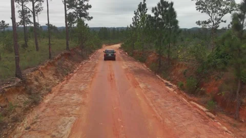 Drone shots of Dirt Road in the Belize Jungle leading to the Mayan Temple of Stock Footage 230804530