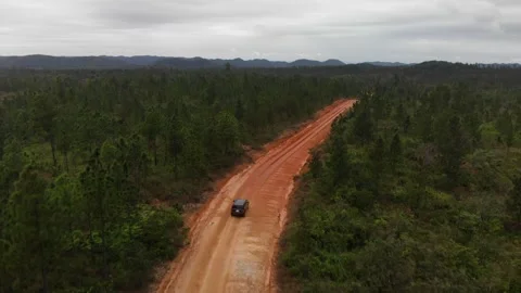 Drone shots of Dirt Road in the Belize Jungle leading to the Mayan Temple of Stock Footage 230806480