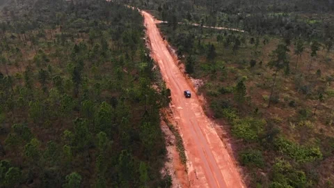Drone shots of Dirt Road in the Belize Jungle leading to the Mayan Temple of Stock Footage 230806974