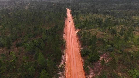 Drone shots of Dirt Road in the Belize Jungle leading to the Mayan Temple of Vídeos de archivo 230806975