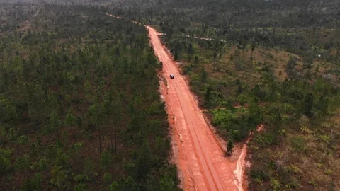 Drone shots of Dirt Road in the Belize Jungle leading to the Mayan Temple of Stock Footage 230806978