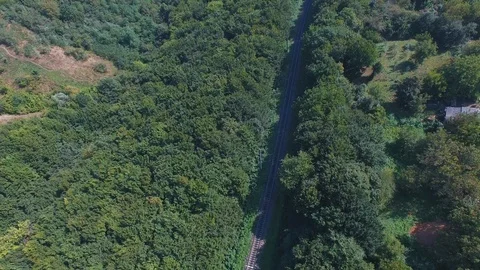 Drone shots of Fall Colours over a forest with Train Track going through Stock Footage 128281030