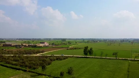 Drone shots of green fields in rural area of Pakistan (2) Stock Footage 199275770