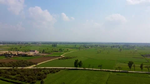Drone shots of green fields in rural area of Pakistan (3) Stock Footage 199275830