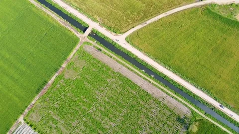 Drone shots of green fields in rural area of Pakistan (10) Stock Footage 199276031