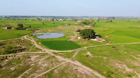 Drone shots of green fields in rural area of Pakistan (12) Stock Footage 199276136