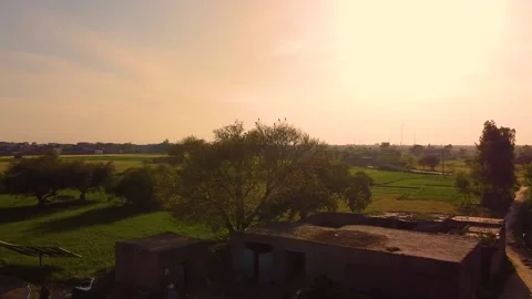 Drone shots of green fields in rural area of Pakistan (17) Stock Footage 199276314