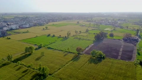 Drone shots of green fields in rural area of Pakistan (15) Stock Footage 199276346