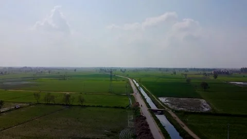Drone shots of green fields in rural area of Pakistan Stock Footage 199276347