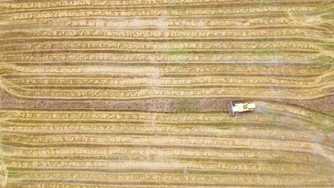 Drone shots of harvesting of wheat fields in rural area of Pakistan (7) Stock Footage 199276681