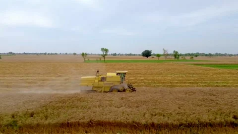 Drone shots of harvesting of wheat fields in rural area of Pakistan (9) Stock Footage 199277057
