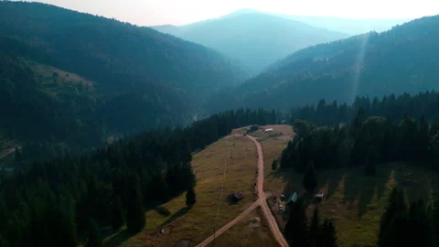 Drone shots of pine trees and mountains Video stock 281510773