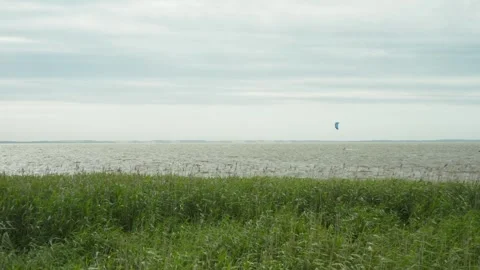 Drone shots reveal Kintai as a patchwork of wetlands, reed beds, and rustic Stock Footage 312976725