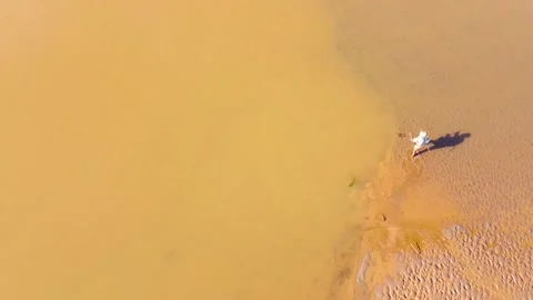 Drone shots of river at day time in rural area of Pakistan (10) Stock Footage 199277386