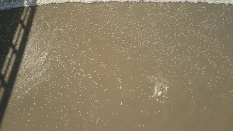 Drone shots of waves on Mailbu Beach Stock Footage 82371254