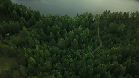 Drone show over forest made lake in Finland country side Vidéo 93251032
