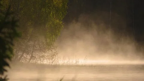 Drone shows mist drifting across a forest lake as warm air meets cooler surface Stock Footage 308902664