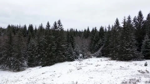 Drone side flight infront of black snow covered pine trees in winter landscape Video stock 318643736