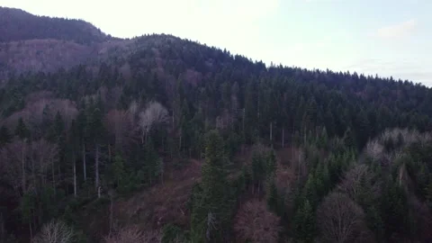 Drone Side Flight Revealing Forested Mountain Texture and Terrain Stock Footage 327205035