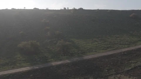 Drone Side Shot of Sheep Flock in Open Field Stock Footage 325388579