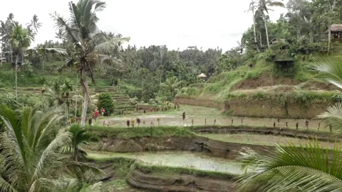 Drone side view of the enamored couple standing on a path around the cascading r Stock Footage 130839873