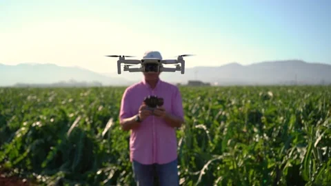 Drone simulating the head of a person. The drone makes a hover over an orga.. Stock Footage 228985038