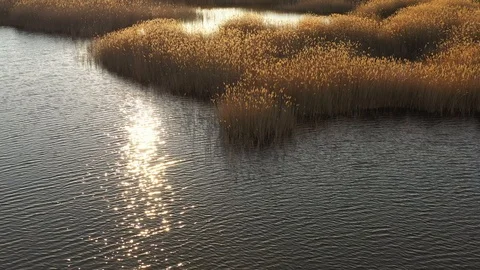 Drone slide forward on a small ripple on the surface of the water of the lake Stock Footage 106375722