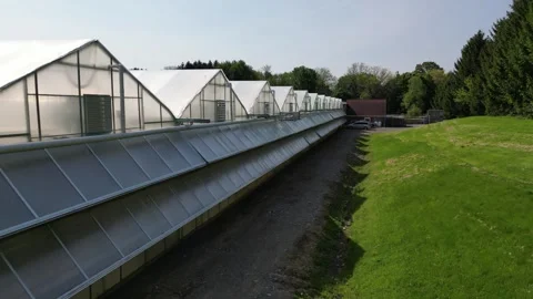 Drone - Slight Rise Showing Back of Greenhouses Stock Footage 314227479