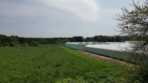Drone - Slow Cruise Through Trees to Reveil Beautiful Greenhouses PART 2 Stock Footage 314227499