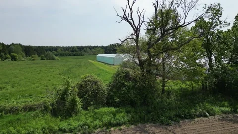 Drone - Slow Cruise Through Trees to Reveil Beautiful Greenhouses Stock Footage 314227512