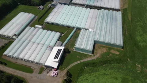 Drone - Slow Left to Right Downward View of Greenhouses Stock Footage 314227556