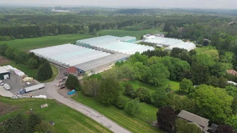 Drone - Slow Left to Right View with Tilt up -Greenhouses Property Stock Footage 314227542