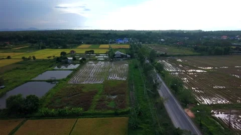 Drone slow pull back over rural road and flooded rice paddies in Asia Stock Footage 335792675