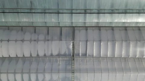 Drone - Slow Rise Looking Downward at Greenhouses Stock Footage 314227573