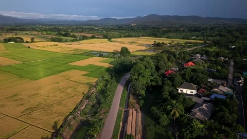 Drone slow tracking shot over rural road separating rice fields and village 스톡 동영상 335792691