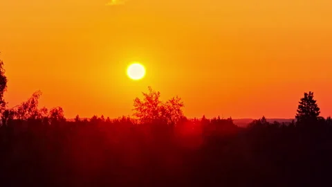 Drone slowly descends toward a dark forest silhouette at vivid orange sunset Stock Footage 333323222