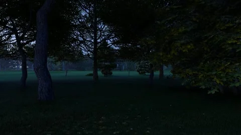 Drone slowly flying through trees and grass. night scene Video stock 278252531