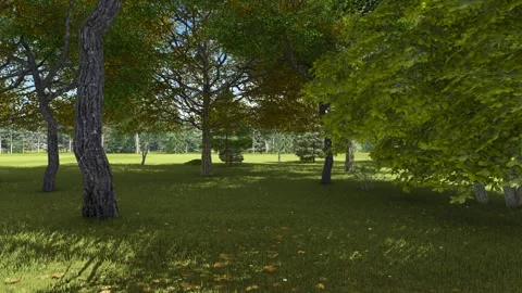 Drone slowly flying through trees and grass Stock Footage 278252560