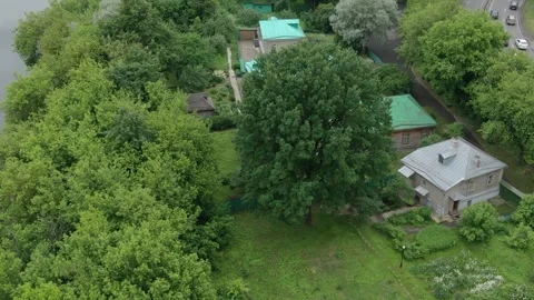 Drone slowly orbiting above large tree near river in Podolsk Stock Footage 327620416