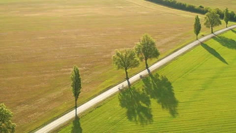 Drone slowly panning around over Danish countryside in the early autumn Stock Footage 305565648