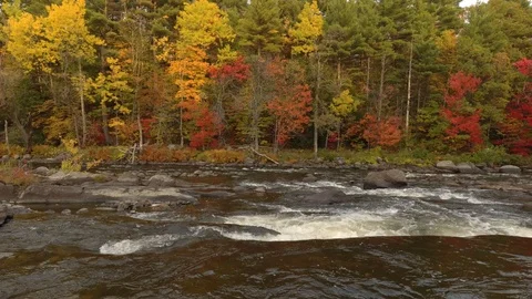 Drone slowly rising over rapids of a river in pretty fall season of Canada Stock Footage 119219813