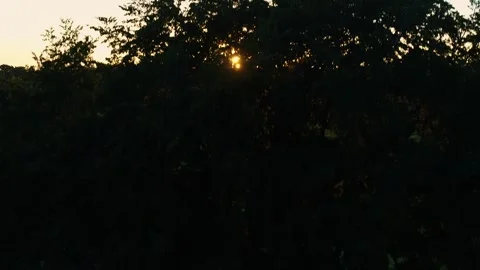 Drone slowly rising up over sun soaked beautiful meadow at sunset Stock Footage 298653012