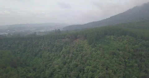 Drone slowly rose higher into the sky revealing a beautiful view of the forest 스톡 동영상 268957302