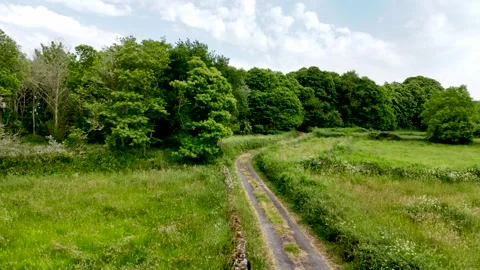 Drone,  a small country road surrounded  by trees and green fiel. Cloudy sky Video stock 315032084