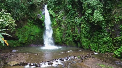 Drone smooth panning view of Batulantang Waterfall in lush tropical jungle, Bali Stock Footage 342551730